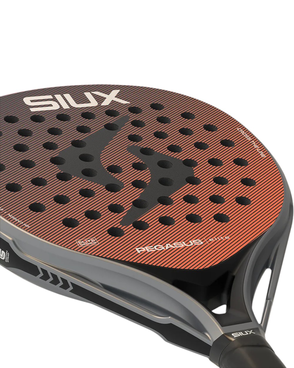 Pegasus Elite 4 2026 Padel Raketi